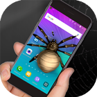 Spider in phone prank иконка