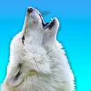 Wolf Stickers for WA APK