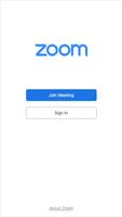 Zoom-poster