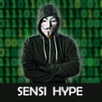 Sensi Heckk FFF Headshut Tool APK