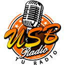 Usb Radio APK