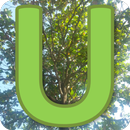 Usbong APK