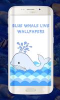 Blue Whale fonds d'écran Live- Affiche