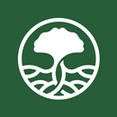 Roots Of Knowledge APK