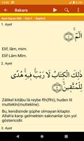 Kur'an-ı Kerim تصوير الشاشة 1