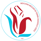 آیکون‌ Düzce Mevlana MTAL