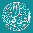 Shamoili Muhammadiya (Muhammad icon