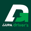 Lupa driver's ícone