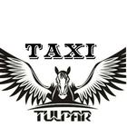 Tulpar taxi client 아이콘