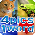 4 Pictures 1 Word