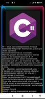 O языках программирования پوسٹر