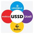 USSD Uzbekistan