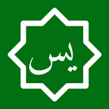 Yosin Surasi