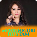 Mehrinigor mp3 APK