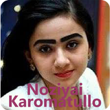 Noziya আইকন
