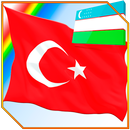 Learning Turkish by pictures APK