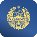 Deputat APK