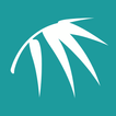 Bamboo Online