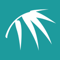 Bamboo Online
