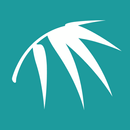 Bamboo Online APK