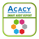 Smart Audit Report APK