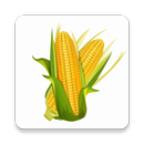 CropWISE APK