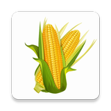 Icona CropWISE