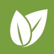 DaviCorp icon