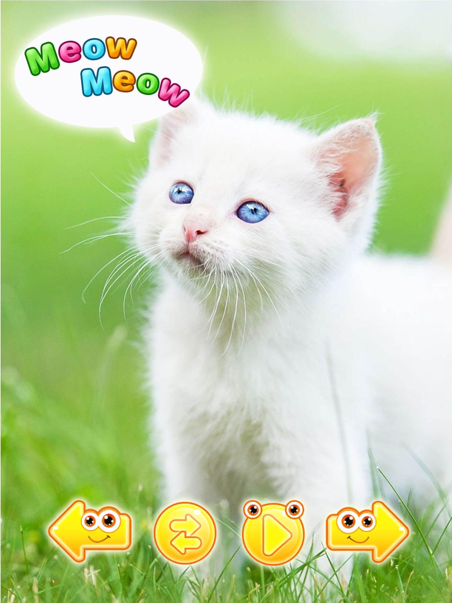 versi di animali da scaricare gratis