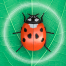 Pet Toys - Haustierspielzeug APK