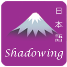 Shadowing icône