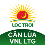 Cân lúa VNL Lộc Trời