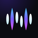 NCT Flow APK