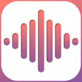 Voice Recorder