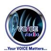 Voice Radio icon