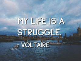برنامه‌نما Voltaire Quotes عکس از صفحه