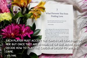 برنامه‌نما Voltaire Quotes عکس از صفحه