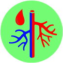 Maladies Vasculaires aplikacja