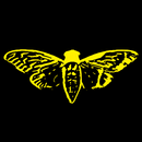 Cicada CTF Quests APK