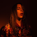 Billie Eilish Lyrics APK