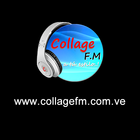COLLAGE 100.1 FM icône