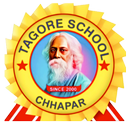 APK Tagore School Chhapar