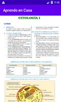 Aprendo en Casa 海报