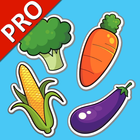 蔬菜学习卡 PRO : 英语学习 图标