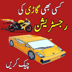 Online Vehicle Verification Pakistan icône