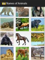 NAMES OF ANIMALS 스크린샷 1