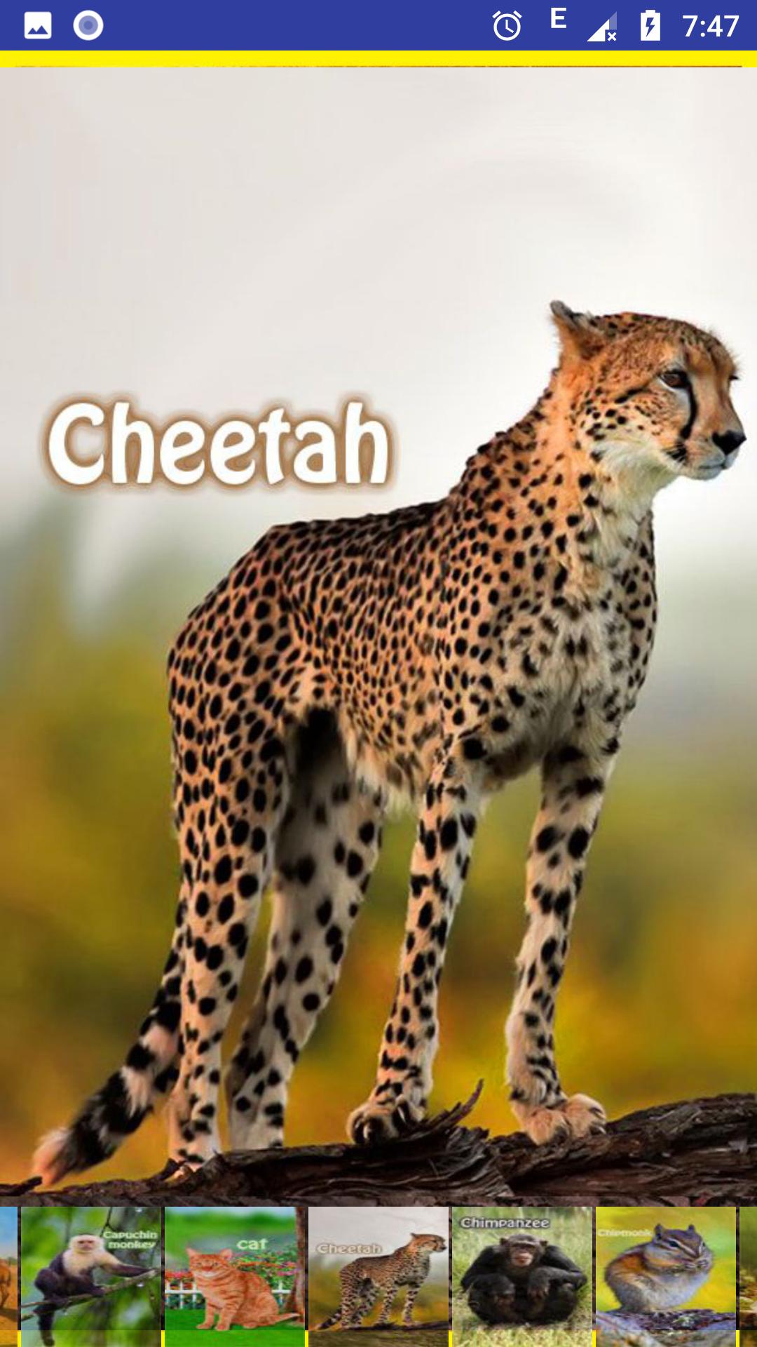 Animal Sounds and Ringtones APK pour Android Télécharger Animal Sounds and Ringtones APK pour Android Télécharger