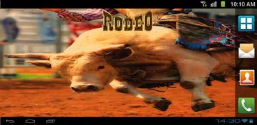 Bull Rodeo Live Wallpaper