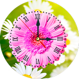 Daisy Clock Live Wallpaper