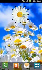 Baixar Daisy Clock Live Wallpaper APK